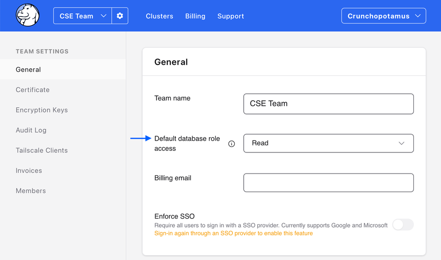 Default database role access for new team members